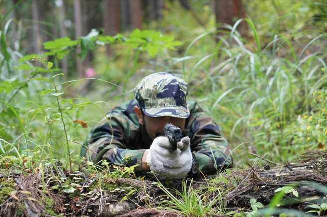 クマと戦って欲しい