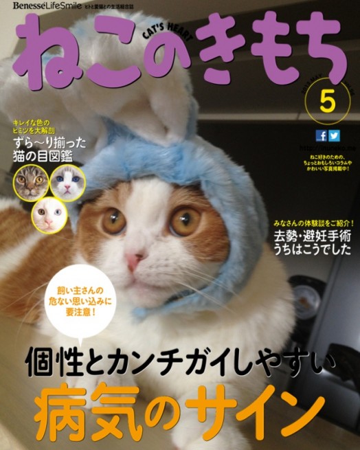 neko