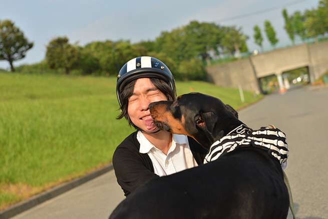 犬は汗とか好きみたい。