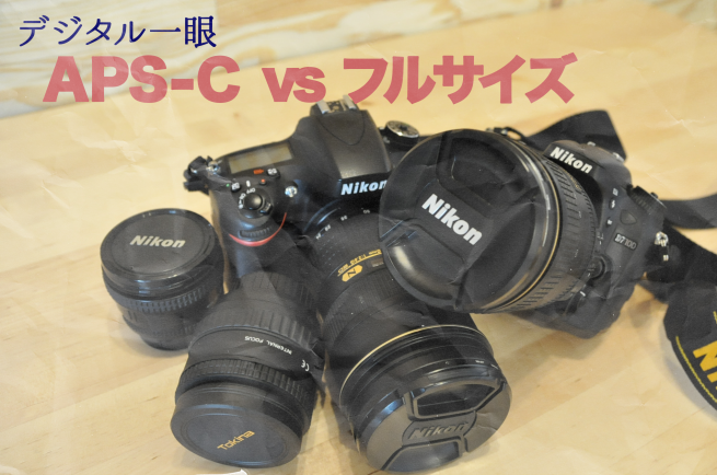 Nikon D600 vs D7100】気合いを入れて一眼レフを購入するときに気を