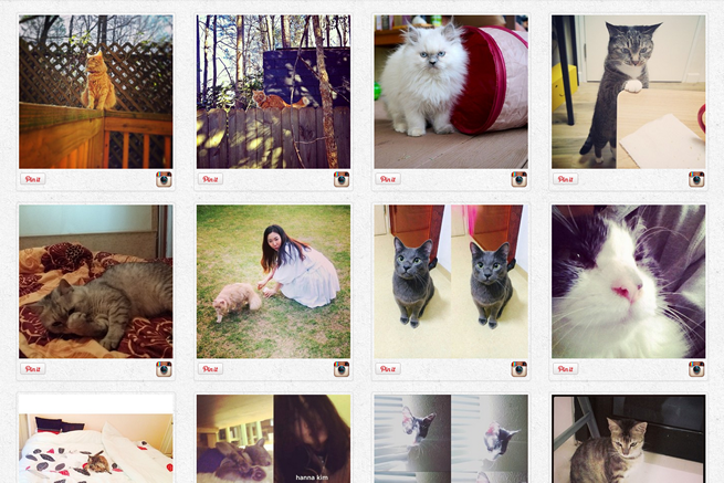 かわいい猫画像が満載！猫好きにおくるWebサービス・アプリ17選