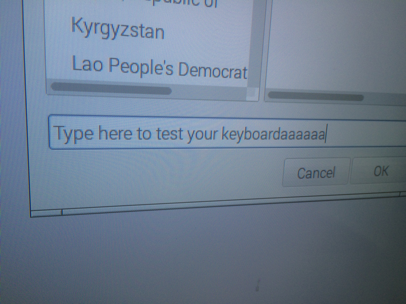 「Type here to test your keyboardaaaaaa」と入力している様子