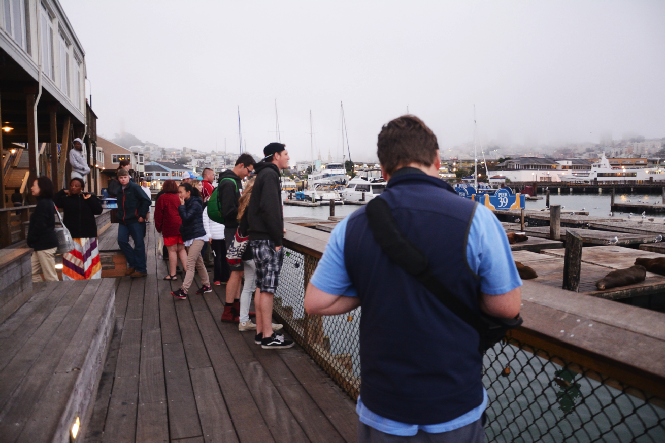 PIER39_2