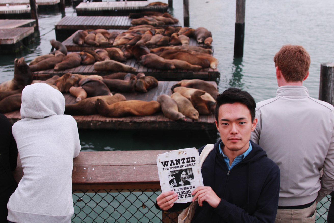 PIER39_5
