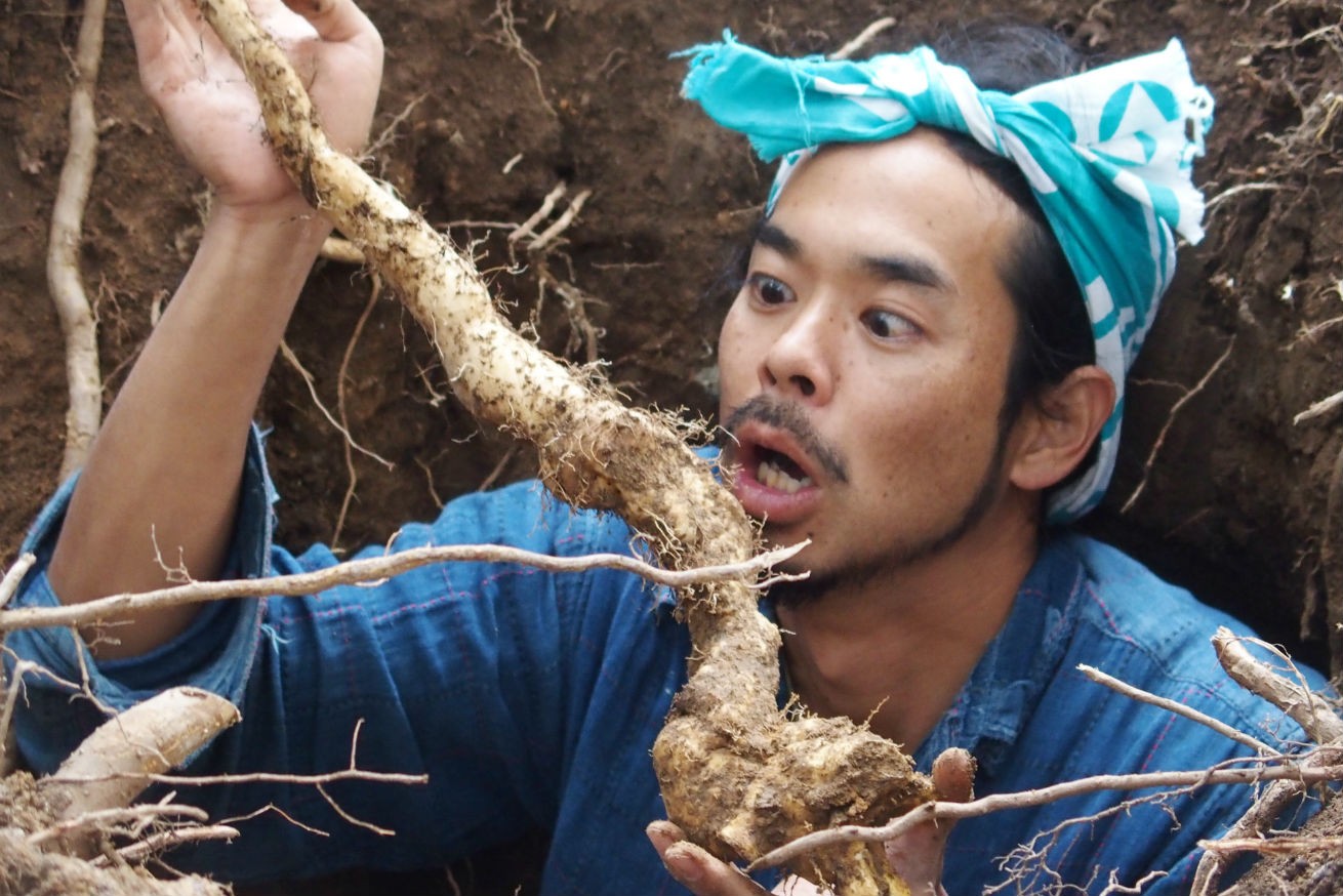 幻の食材 “天然の自然薯” を探せ！ 探し方から激うま “トロロご飯