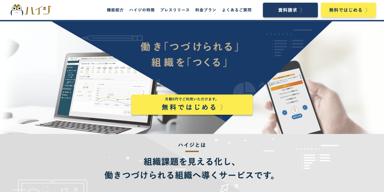 組織課題サーベイ ハイジ