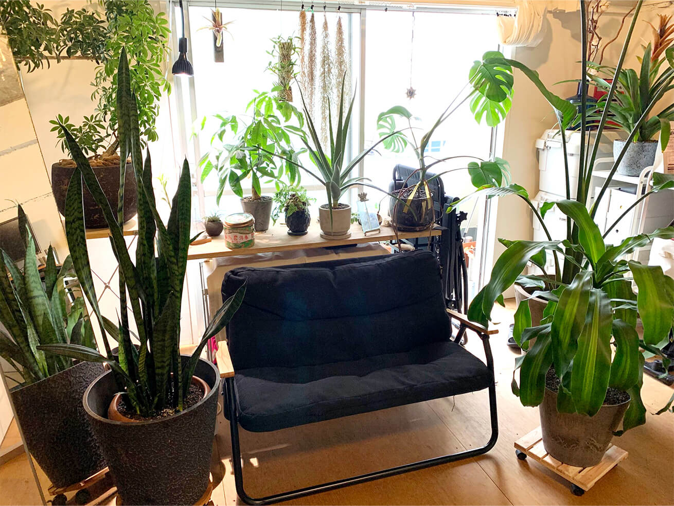 植物に囲まれたソファ