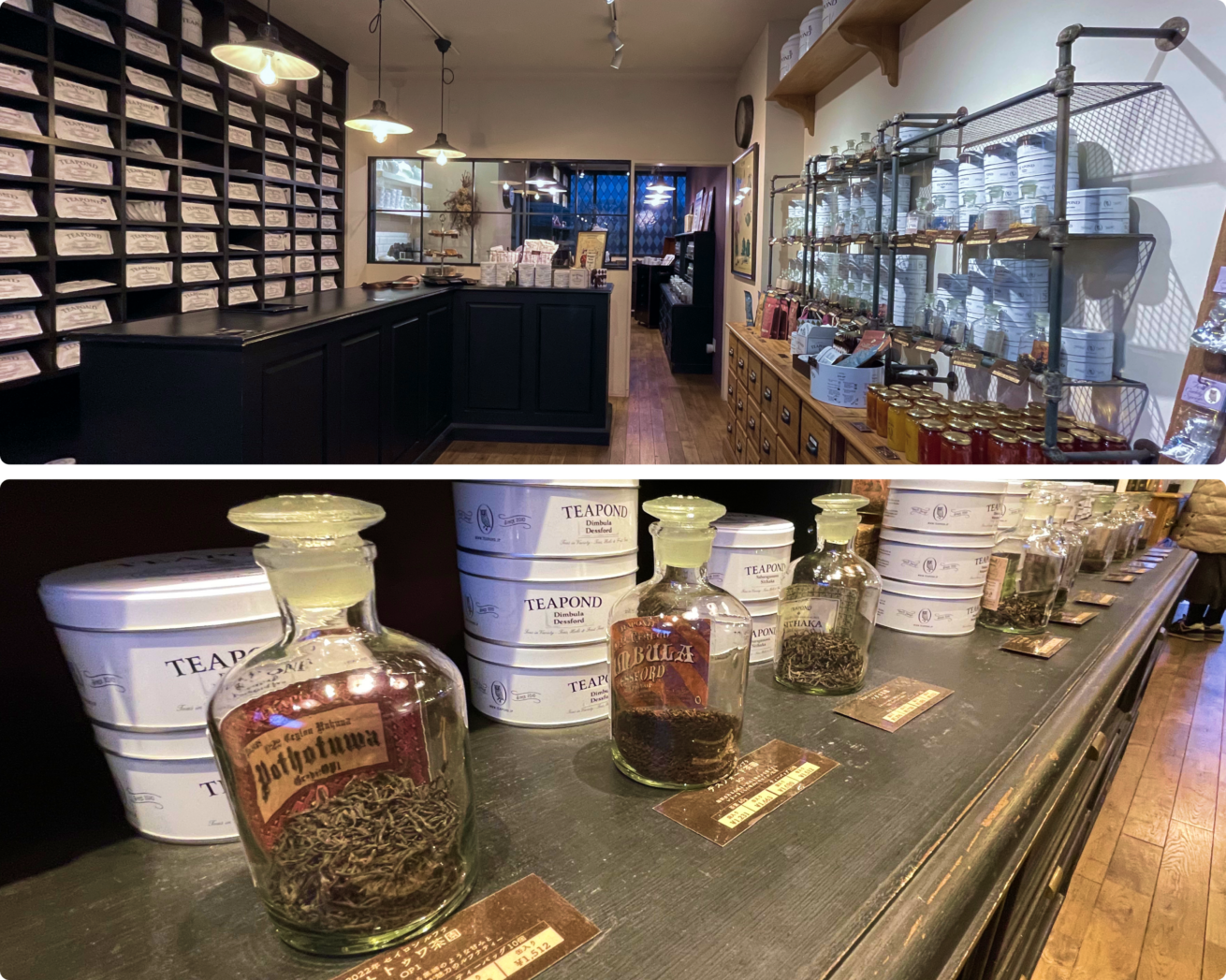 TEAPOND_02